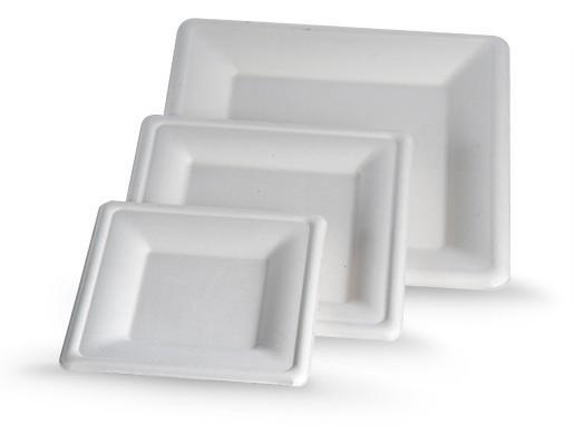 8" BIOTREE SQ PLATE (500pcs)