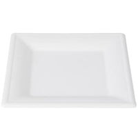 6" BIOTREE SQ PLATE (500pcs)